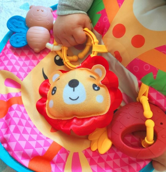 0026085-21828-vrefiko-maksilaraki-drastiriotiton-giraffe