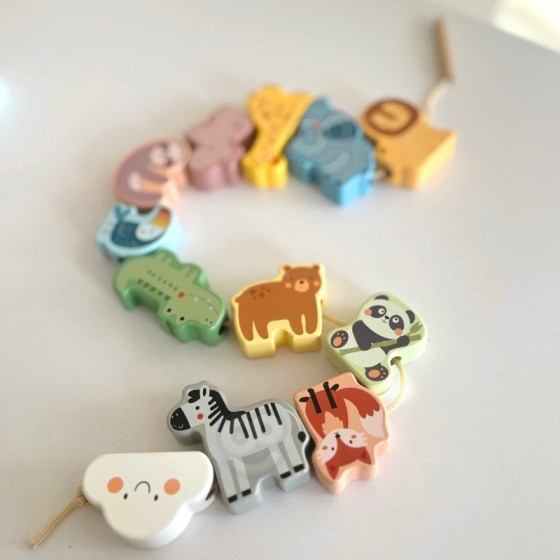 0026219-22200-ksulino-paichnidi-leptis-kinitikotitas-me-kordoni-zoo