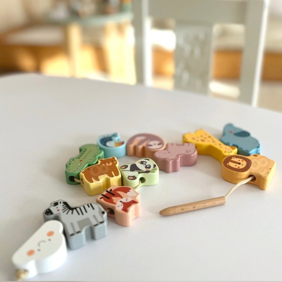 0026219-22201-ksulino-paichnidi-leptis-kinitikotitas-me-kordoni-zoo