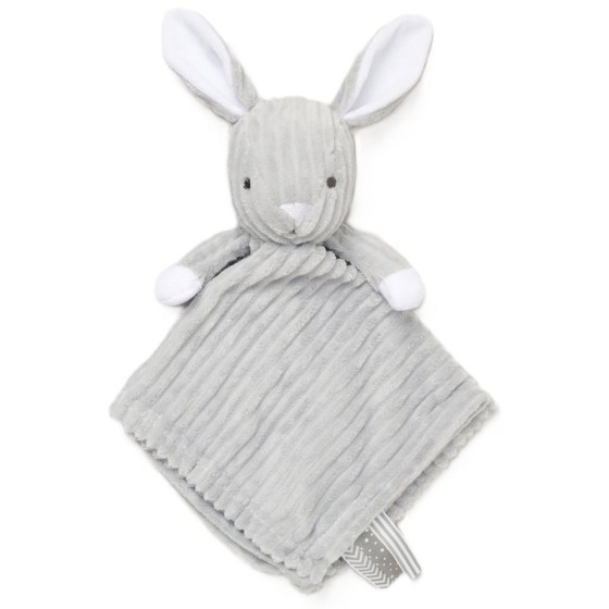 0026437-27104-vrefiko-panaki-parigorias-grey-rabbit